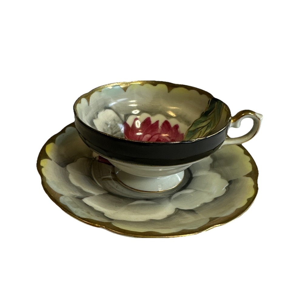 Vtg Shafford Look Teacup & Saucer Japan Hand‎ painted